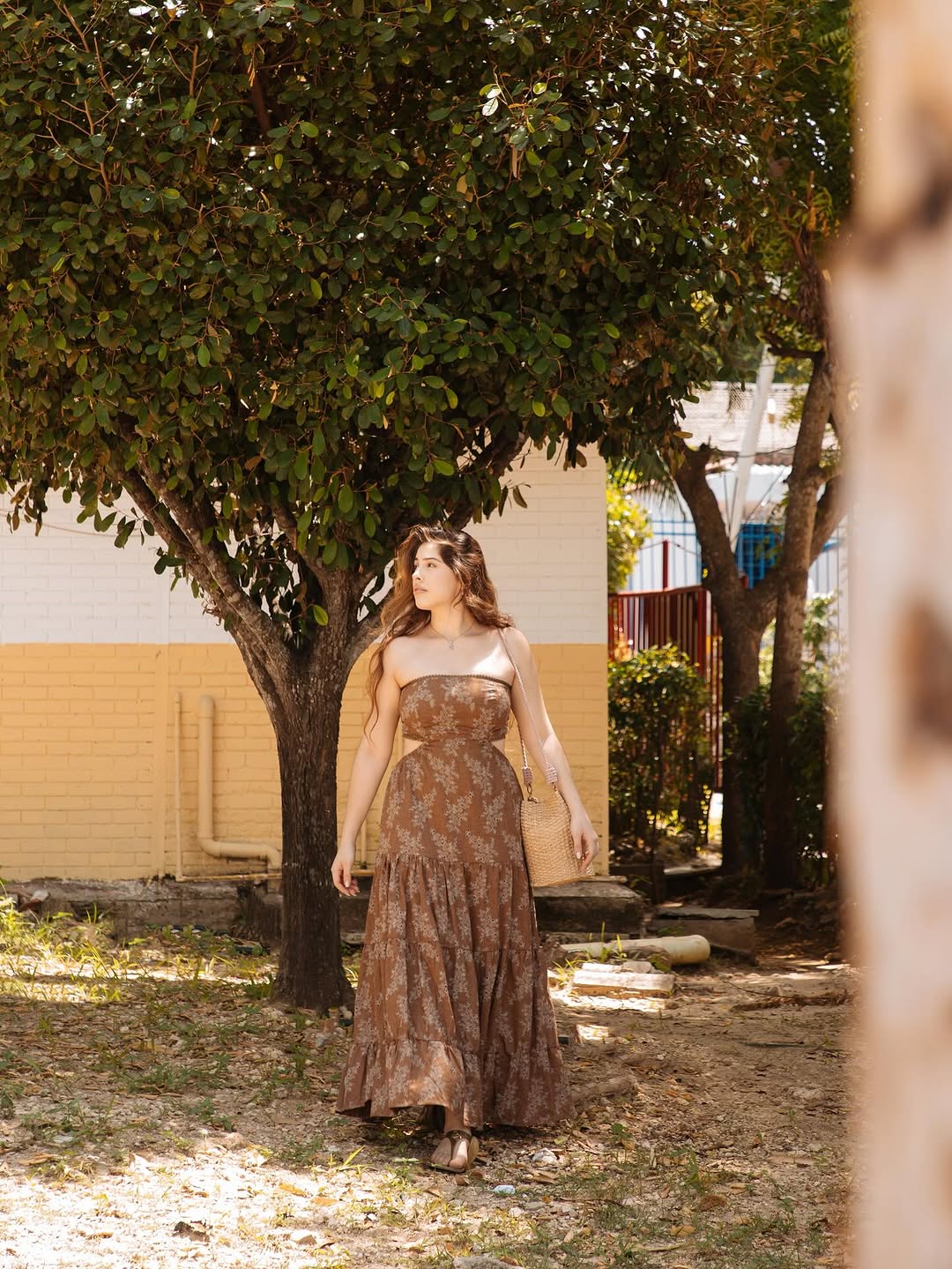 Brown Signorina Dress