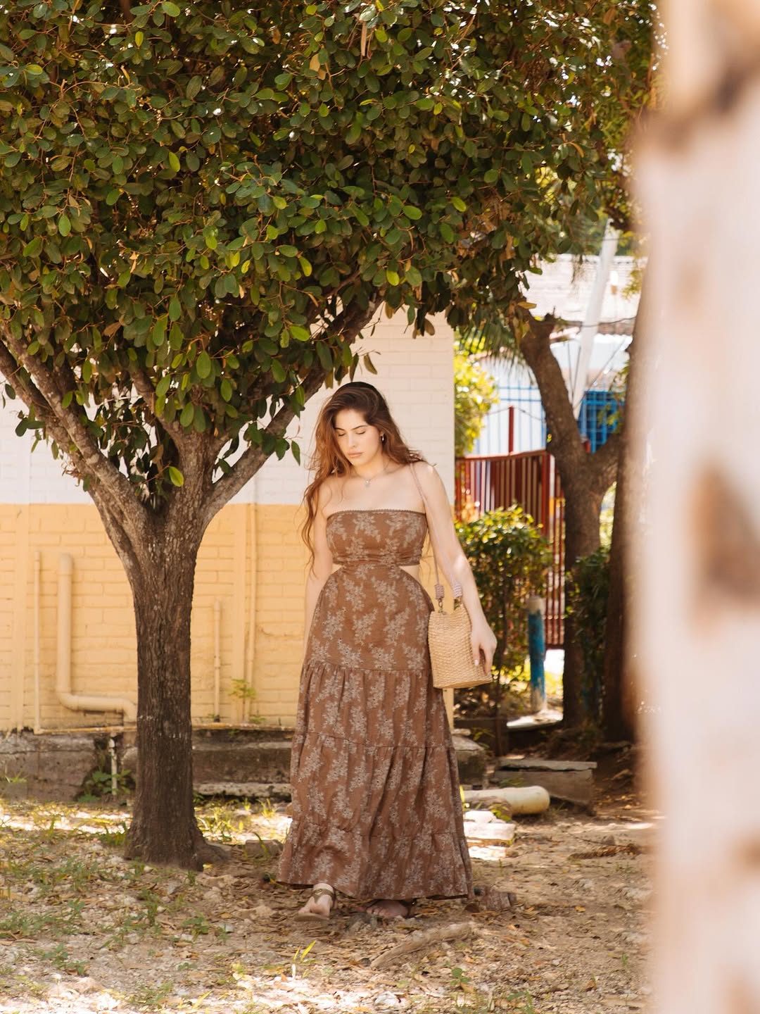 Brown Signorina Dress