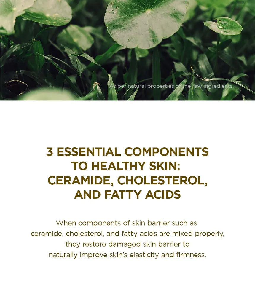 Mini MADAGASCAR CENTELLA SOOTHING CREAM 30ML (travel size)