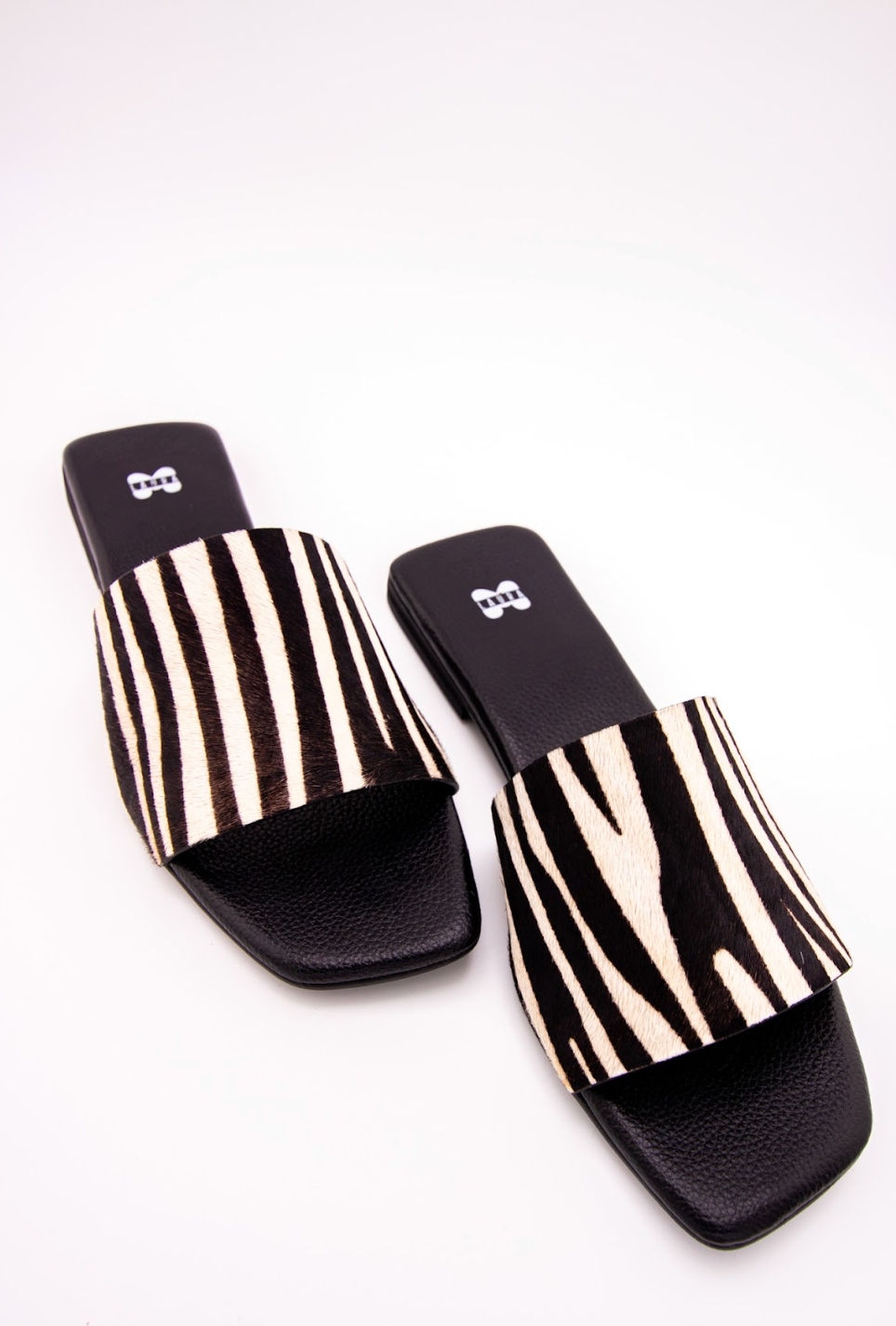 SANDRA ZEBRA