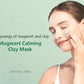 Mugwort Calming Clay Mask 100ML