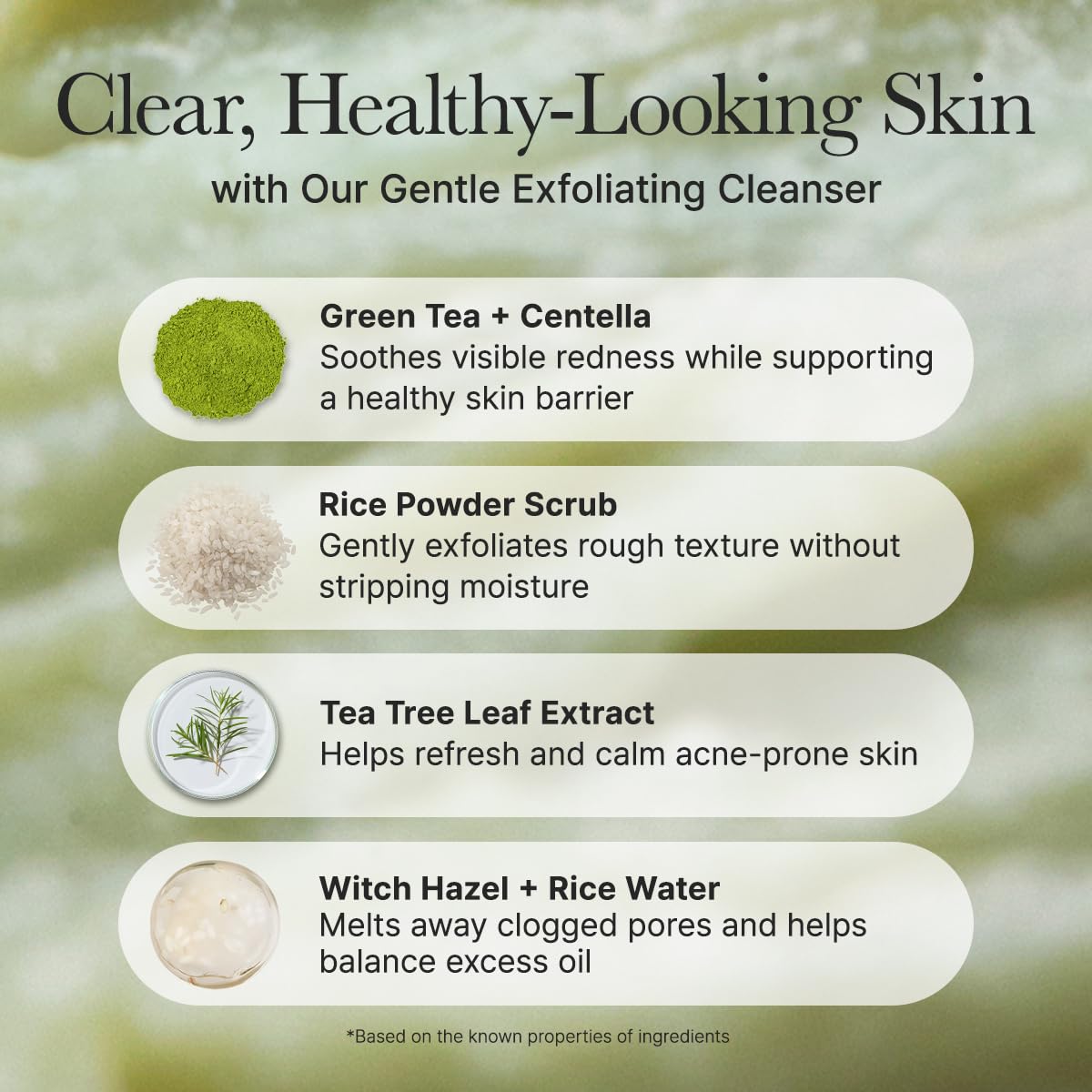 FRESH GREEN RICE MOCHI CLEANSER 120G