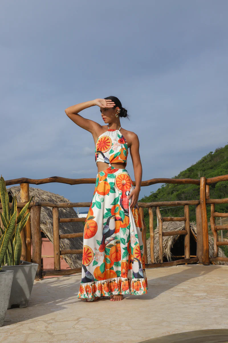 Amapola Dress In Orange Print