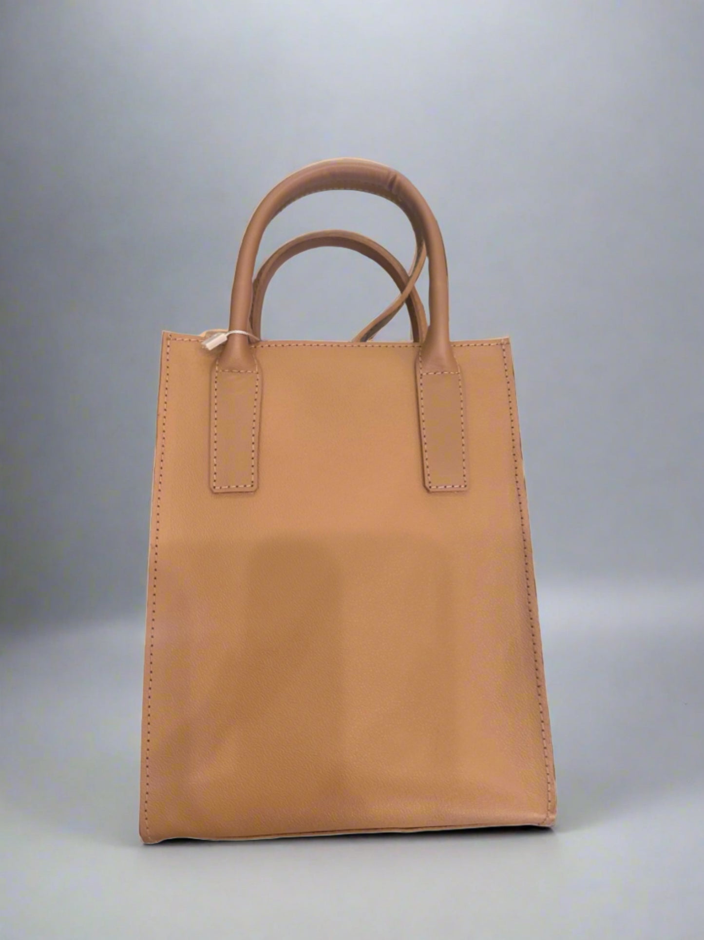 Mini Tote Bag