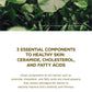 Mini MADAGASCAR CENTELLA SOOTHING CREAM 30ML (travel size)