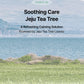 Tea Tree Moisture Conditioner