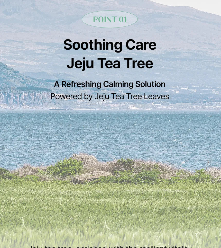 Tea Tree Scalp Shampoo