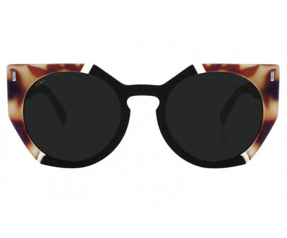 VENUS Sunglasses Available in more colors Ray Edition with Black Lenses  